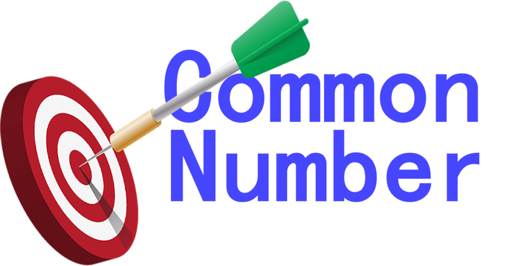 Shillong Teer Common Number